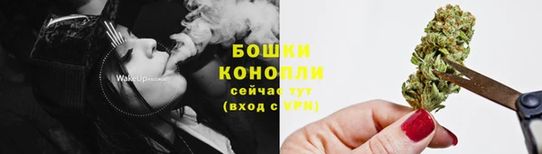 соль ск Новозыбков