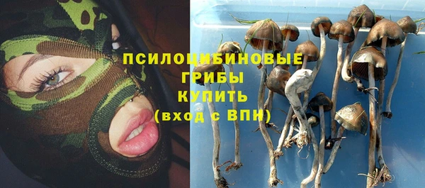 соль ск Новозыбков